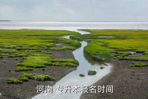 河南專升本服務(wù)平臺(tái),河南專升本報(bào)名時(shí)間為4.1日