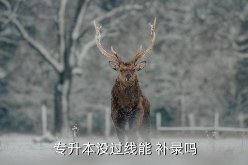  專升本沒過線能 補錄嗎