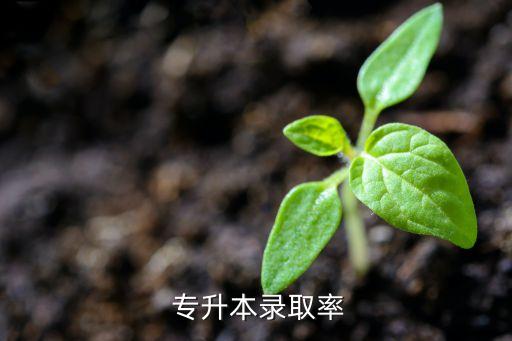 普通?？茖Ｉ韭?高等教育考生可在就讀?？仆瑫r(shí)申請(qǐng)本科