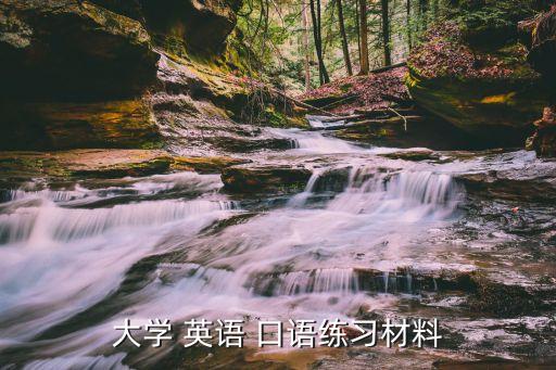 大學(xué) 英語(yǔ) 口語(yǔ)練習(xí)材料