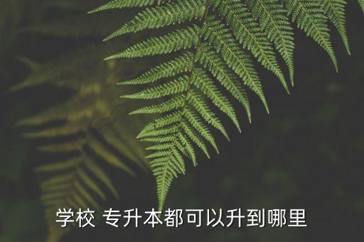 學(xué)校 專升本都可以升到哪里