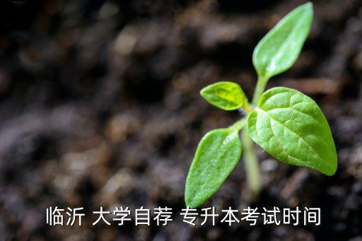 臨沂大學專升本計算機,臨沂-3/職業(yè)與技術專科生畢業(yè)典禮