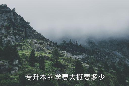  專升本的學(xué)費(fèi)大概要多少