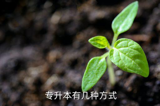 專升本輔導(dǎo)方案,專升本有哪些重點(diǎn)?