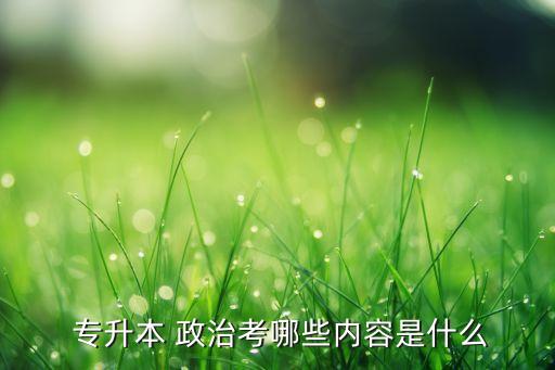  專升本 政治考哪些內(nèi)容是什么