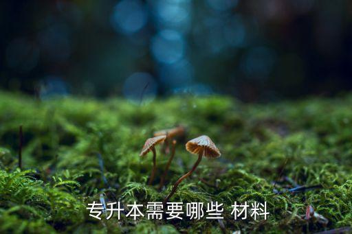 專升本要準(zhǔn)備哪些材料,普通專升本報(bào)名須準(zhǔn)備什么?