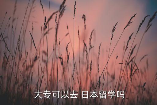 日本的大專升本科,大專畢業(yè)生怎么去日本留學(xué)?