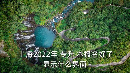  上海2022年 專升 本報名好了顯示什么界面