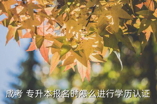 成考 專升本報(bào)名時(shí)怎么進(jìn)行學(xué)歷認(rèn)證