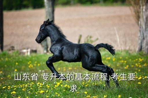 山東省專升本信息網(wǎng),2022年山東專升本考試報(bào)名時間已敲定