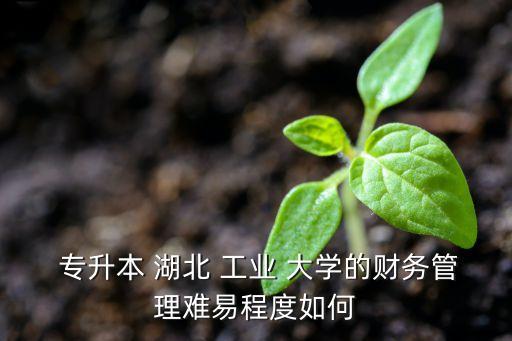 湖北工業(yè)大學專升本,選擇自己擅長的領域和方向