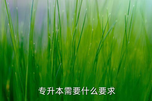 專升本有要求嗎,統(tǒng)招專升本報(bào)名須具備大專以上學(xué)歷