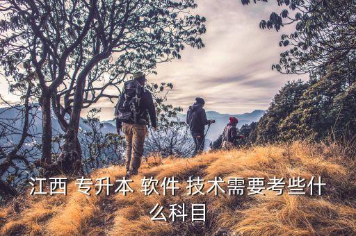 專科軟件技術(shù)專升本,本地哪些專升本有哪些類型?