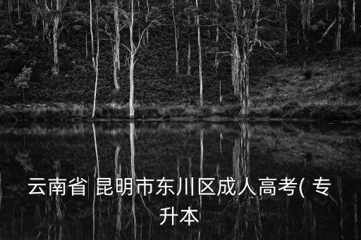 云南省 昆明市東川區(qū)成人高考( 專升本