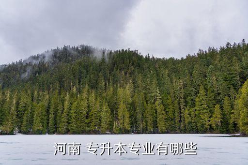 河南專升本會(huì)計(jì)學(xué),河南專升本開(kāi)設(shè)哪些課程?