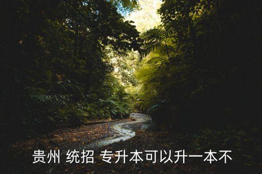  貴州 統(tǒng)招 專升本可以升一本不