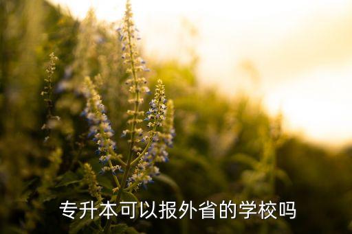 專升本不?？伎梢詤⒓邮】紗?本地高校沒有專升本計(jì)劃解釋如下