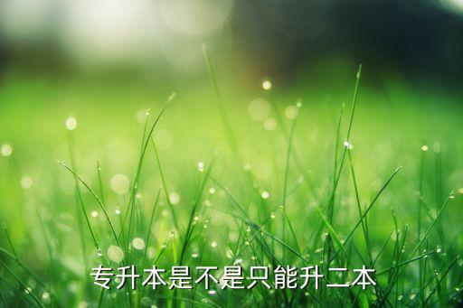 大學專升本是幾本,中國高考:專升本不分本科和?？? /></a><a href=