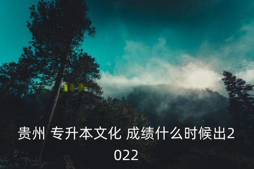 貴州 專升本文化 成績什么時候出2022