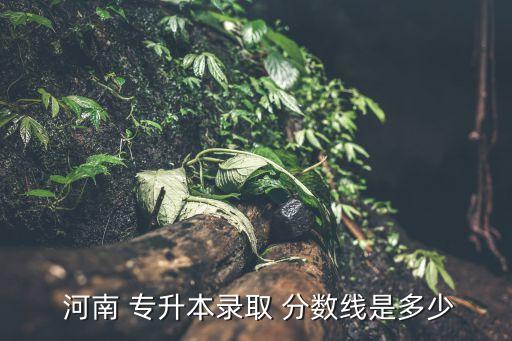  河南 專(zhuān)升本錄取 分?jǐn)?shù)線(xiàn)是多少