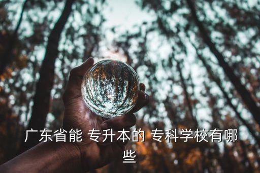  廣東省能 專升本的 專科學(xué)校有哪些