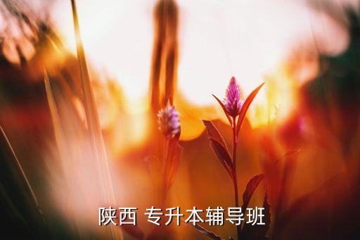  陜西 專升本輔導(dǎo)班