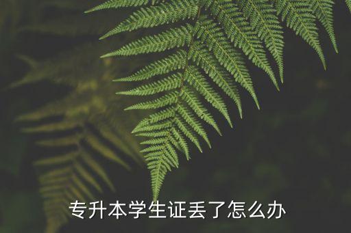  專升本學(xué)生證丟了怎么辦