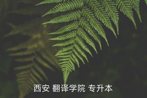 西安 翻譯學(xué)院 專升本