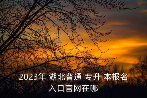 2018年湖北專升本報(bào)名窗口,湖北出現(xiàn)第一起確診病例