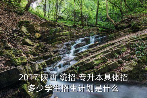 2017 陜西 統(tǒng)招 專升本具體招多少學生招生計劃是什么