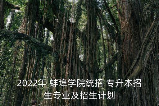 2022年 蚌埠學院統(tǒng)招 專升本招生專業(yè)及招生計劃