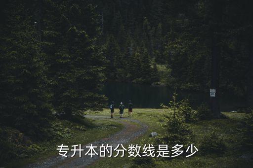  專升本的分?jǐn)?shù)線是多少