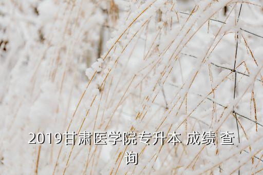 2019甘肅醫(yī)學(xué)院專升本 成績 查詢