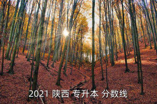 2021 陜西 專升本 分?jǐn)?shù)線