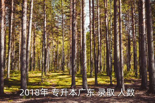 2018年 專升本廣東 錄取 人數(shù)