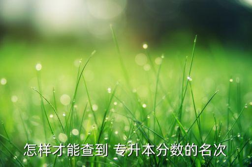 怎樣才能查到 專升本分數(shù)的名次