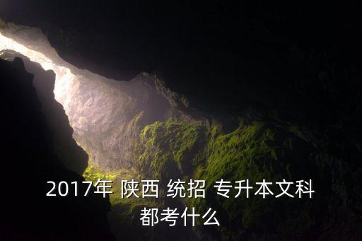 2017年 陜西 統(tǒng)招 專升本文科都考什么