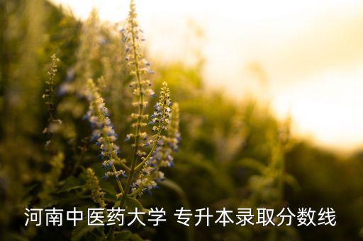 河南中醫(yī)藥大學(xué) 專升本錄取分?jǐn)?shù)線