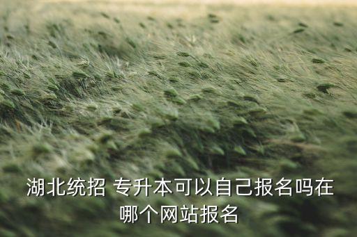 湖北專升本qq群推薦,湖北統(tǒng)招專升本怎么報(bào)名?