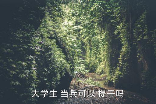 大學(xué)生 當(dāng)兵可以 提干嗎