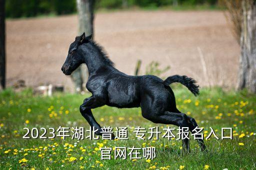 2023年湖北普通 專升本報名入口官網(wǎng)在哪