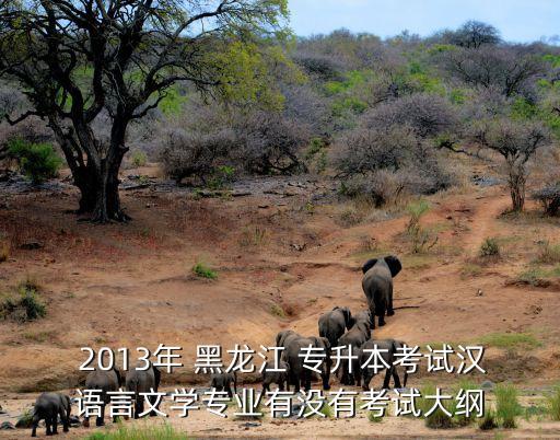  2013年 黑龍江 專升本考試漢語(yǔ)言文學(xué)專業(yè)有沒(méi)有考試大綱