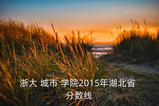 浙大 城市 學院2015年湖北省 分數(shù)線