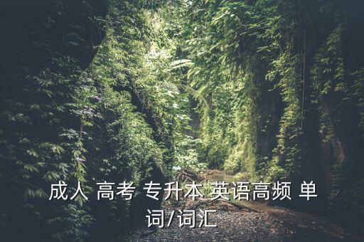  成人 高考 專升本 英語高頻 單詞/詞匯