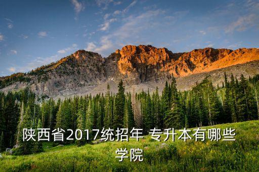 陜西省2017統(tǒng)招年 專升本有哪些學(xué)院