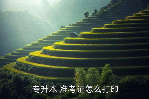  專升本 準(zhǔn)考證怎么打印