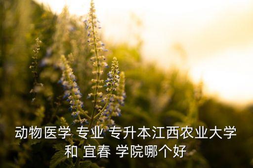 動(dòng)物醫(yī)學(xué) 專業(yè) 專升本江西農(nóng)業(yè)大學(xué)和 宜春 學(xué)院哪個(gè)好