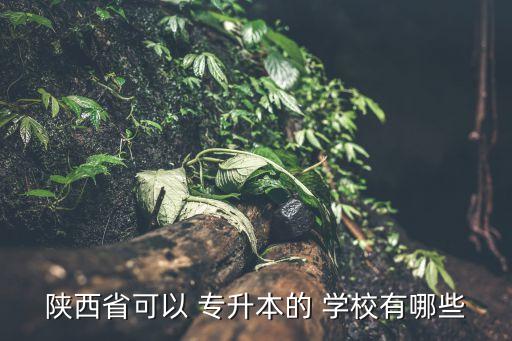 陜西省可以 專升本的 學校有哪些