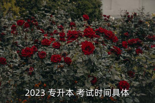 2023 專升本 考試時間具體