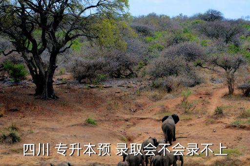 專升本擬錄取會(huì),高等學(xué)府預(yù)審錄取考生電子檔案信息獲校方同意